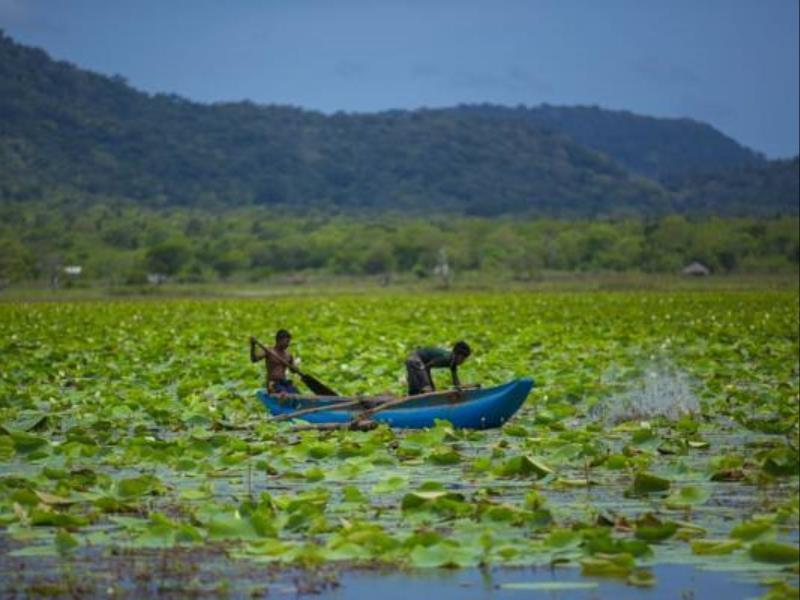 Grand Tamarind Lake Kataragama Exterior foto